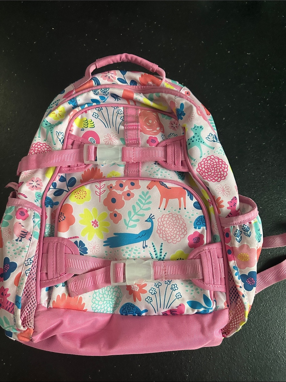 Pottery Barn Kids Sasha’s Garden Mackenzie Pink Backpack